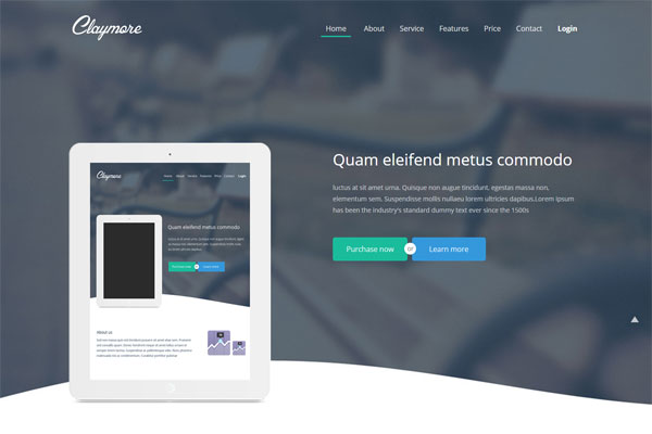 网页DDOS攻击平台